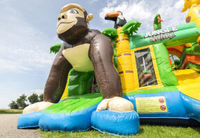 Party Safari